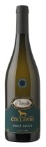 Collavini 'Villa Canlungo' Pinot Grigio Collio DOC 2023 75cl